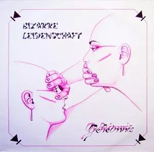 BIZARRE LEIDENSCHAFT / GEHEIMNIS