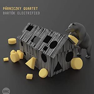 ANDRAS PARNICZKY / BARTOK ELECTRIFIED