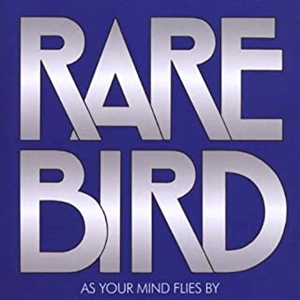 RARE BIRD / レア・バード / アズ・ユア・マインド・フライズ・バイ