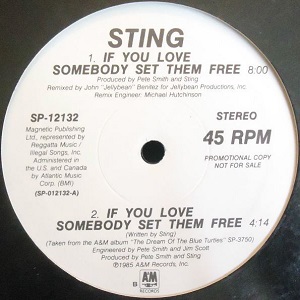 STING / スティング / IF YOU LOVE SOMEBODY SET THEM FREE (PROMO)