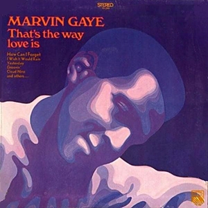 MARVIN GAYE / マーヴィン・ゲイ / THAT'S THE WAY LOVE IS