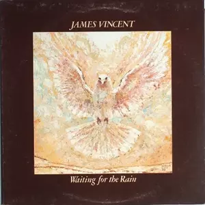 JAMES VINCENT / ジェイムズ・ヴィンセント / WAITING FOR THE RAIN