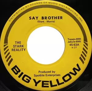 STARK REALITY / スターク・リアリティ / SAY BROTHER