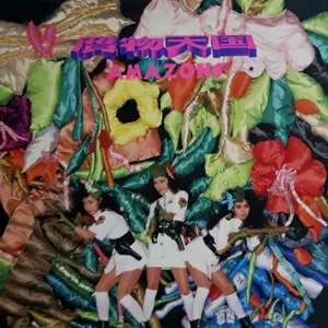 AMAZONS商品一覧｜PUNK｜ディスクユニオン・オンラインショップ