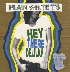 PLAIN WHITE T'S / プレインホワイトティース / HEY THERE DELILAH