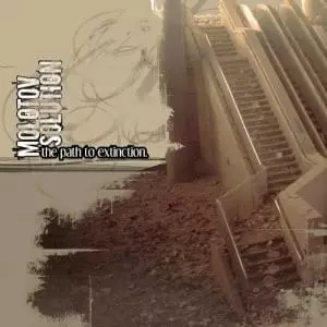 MOLOTOV SOLUTION商品一覧｜ディスクユニオン・オンラインショップ