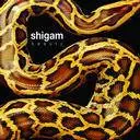 SHIGAM / シガム / BEAUTY 12"