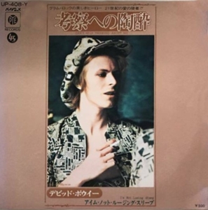 考察への陶酔/DAVID BOWIE/デヴィッド・ボウイ｜OLD ROCK｜ディスクユニオン・オンラインショップ｜diskunion.net