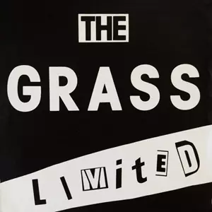 LIMITED/GRASS (80'S PUNK/JPN)｜PUNK｜ディスクユニオン・オンライン