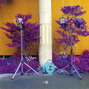 EIKO ISHIBASHI & DARIN GRAY / ICHIDA