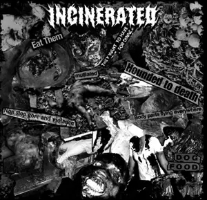INCINERATED : DETERIORATION / SPLIT (7")