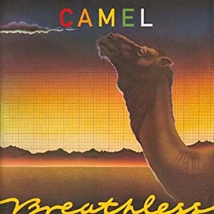 CAMEL / キャメル / ブレスレス