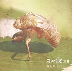 AvelCain商品一覧｜ディスクユニオン・オンラインショップ｜diskunion.net