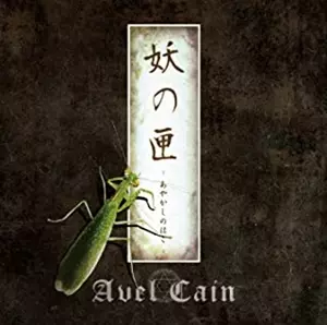 AvelCain商品一覧｜ディスクユニオン・オンラインショップ｜diskunion.net