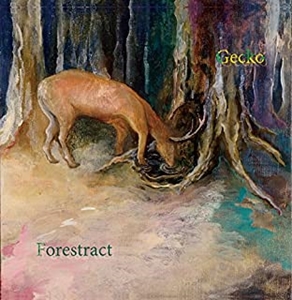Gecko / Forestract
