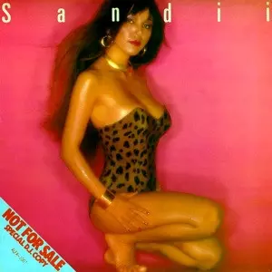 SANDII / サンディー / IDOL ERA