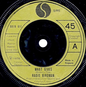 RADIO BIRDMAN / レディオ・バードマン / WHAT GIVES