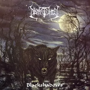 DISPATCHED / ディスパッチド / BLACK SHADOWS