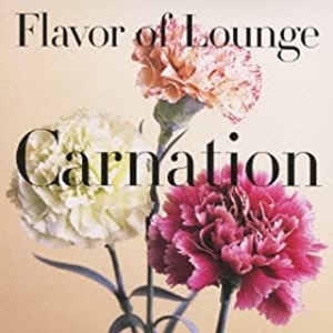 V.A.  / オムニバス / Flavor of Lounge -Carnation-