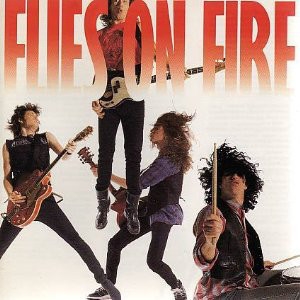 FLIES ON FIRE / FLIES ON FIRE (LP)