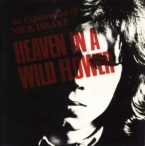 NICK DRAKE / ニック・ドレイク / HEAVEN IN A WILD FLOWER - AN EXPLORATION OF NICK DRAKE