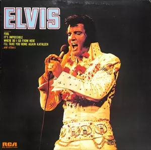 フール/ELVIS PRESLEY/エルヴィス・プレスリー｜OLD ROCK｜ディスク