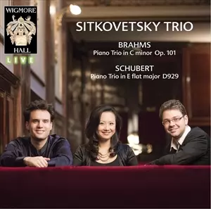 SITKOVETSKY TRIO / シトコヴェツキー・トリオ / BRAHMS / SCHUBERT: PIANO TRIOS