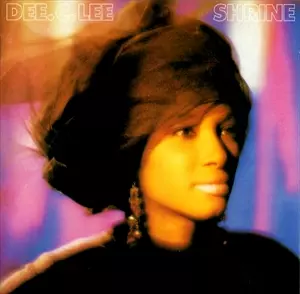 DEE C LEE商品一覧｜JAZZ｜ディスクユニオン・オンライン