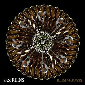 SAX RUINS / サックス・ルインズ / BLIMMGUASS