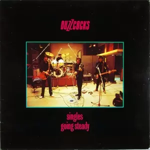 BUZZCOCKS / バズコックス / SINGLES GOING STEADY