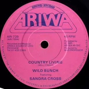 ザ・ワイルド・バンチ・フィーチャリング・サンドラ・クロス　帯付き WILD BUNCH (REGGAE) / ワイルド・バンチ商品一覧｜HIPHOP