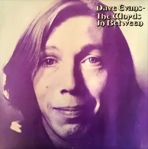 DAVE EVANS / デイヴ・エヴァンス / THE WORDS IN BETWEEN