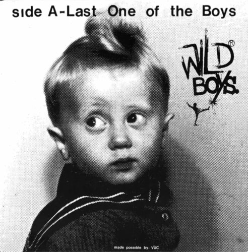WILD BOYS (PUNK) / LAST ONE OF THE BOYS (7")