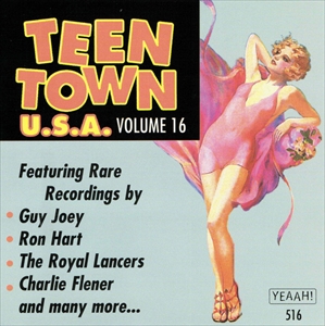 V.A.  / オムニバス / TEEN TOWN U.S.A. VOLUME 16