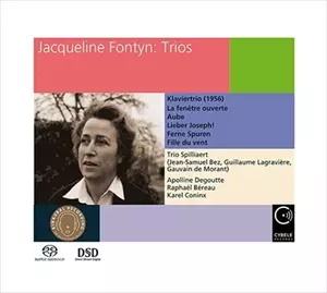 TRIO SPILLIAERT / スピリアール・トリオ / FONTYN:TRIOS