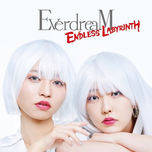 EverdreaM / ENDLESS LABYRINTH