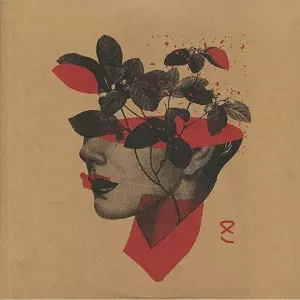 V.A.  / オムニバス / NUMEROUS AGNOMENS VOL.III