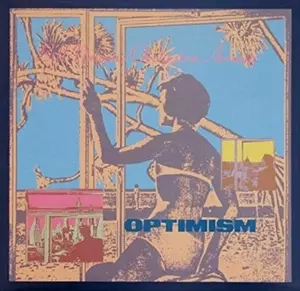 BILL NELSON'S ORCHESTRA ARCANA / ビル・ネルソンズ・オーケストラ・アルカナ / OPTIMISM (REMASTERED AND EXPANDED EDITION) / オプティミズム