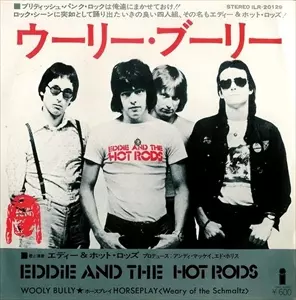 ニューウェイブ　燃えるパンク・ロッカー達　LP レコード ニューウェイブ 燃えるパンク・ロッカー達 LP レコード