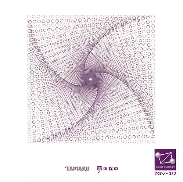 ZERO GRAVITY商品一覧｜JAPANESE ROCK・POPS / INDIES｜ディスク