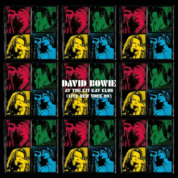 David Bowie ディスクユニオン 帯 デヴィッド ボウイ DU特典 I CAN'T GIVE EVERYTHING AWAY (2002-2016) [180G 18LP VINYL BOX