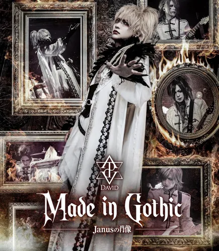 David商品一覧｜PUNK｜ディスクユニオン・オンラインショップ