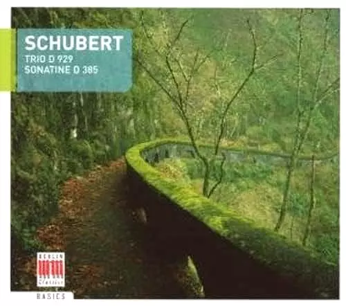 AMADEUS WEBERSINKE / アマデウス・ウェーバージンケ / SCHUBERT: PIANO TRIO D929 / SONATINA FOR VIOLIN & PIANO D385