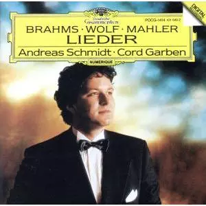 ANDREAS SCHMIDT (BARITONE) / アンドレアス・シュミット (バリトン) / ブラームス:4つの厳粛な歌