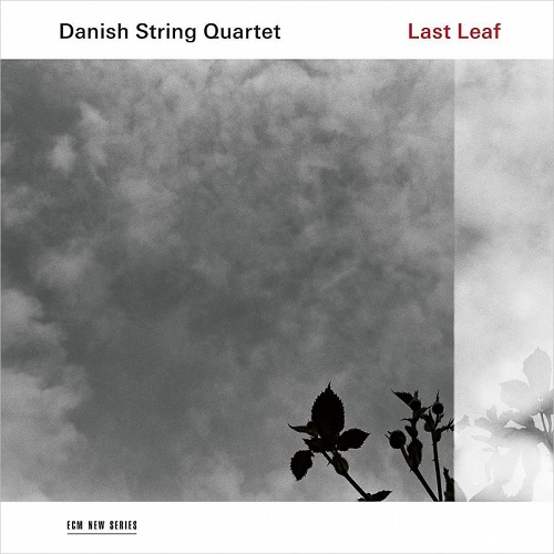 DANISH STRING QUARTET / デンマーク弦楽四重奏団 / LAST LEAF