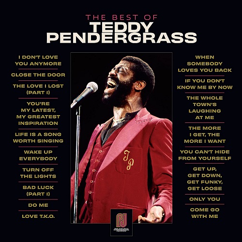 TEDDY PENDERGRASS / テディ・ペンダーグラス / THE BEST OF TEDDY PENDERGRASS (VINYL)