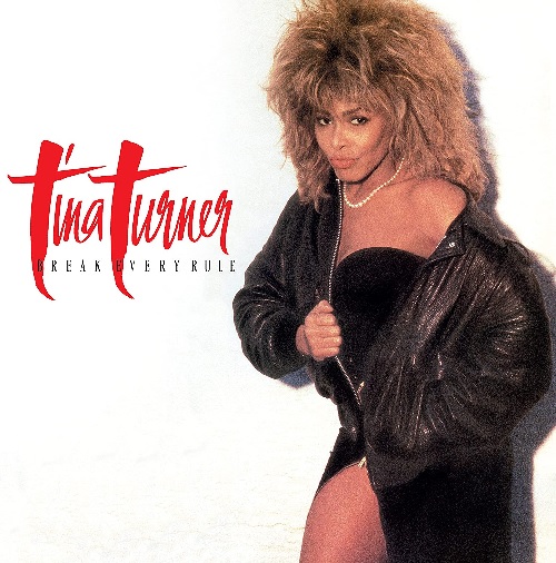Tina turner ティナ・ターナー ワールドツアー 96’ vintage