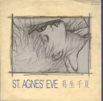 ST.AGNES'EVE/CHINATSU KUZUU/葛生千夏｜日本のロック｜ディスク