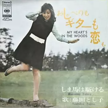 TOSHIKO FUJITA / 藤田淑子 / おしゃべりもギターも恋も