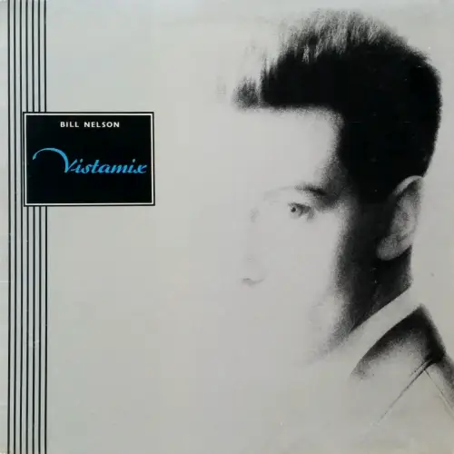 VISTAMIX/BILL NELSON/ビル・ネルソン｜OLD ROCK｜ディスクユニオン
